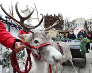 PRESS RELEASE IMAGE NO FEE Monday 28th November 2016 Picture by William Cherry / Press Eye Santa's Little Helpers: Children receiving treatment at the Children's Cancer Unit at the Royal were welcomed to the Children's Cancer Unit Charity Santa's Grotto at Belfast's Christmas Market by Dixie the reindeer. Pictured are Donncha Cushnan from Mayobridge, who will be 7 on Christmas Eve and Alara Basturk, age 8 from Belfast. ChildrenÕs Cancer Unit Charity ride into town by reindeer 28 November 2016 Children receiving treatment at the ChildrenÕs Cancer Unit at the Royal Belfast Hospital for Sick Children were greeted by Santa and some of his furry friends when they arrived at the Grotto at Belfast Christmas Market today. Five local children got to meet one of SantaÕs most important helpers, Dixie, who will be pulling his sleigh on Christmas Eve. The visit was facilitated by the ChildrenÕs Cancer Unit Charity who are the hosts and beneficiaries of all funds raised at this yearÕs SantaÕs Grotto at the Market. Felix Mooney, Chair of the ChildrenÕs Cancer Unit Charity said: ÒWe are thrilled to be hosting SantaÕs Grotto for the second year running at BelfastÕs Christmas Market, and to have some of SantaÕs reindeers take time out from their busy schedule to show these children around. This festive donation gives us the perfect opportunity to promote the work of both the charity and the ChildrenÕs Cancer Unit itself, as well raising vital funds to help provide the highest quality care for children with cancer in Northern Ireland. ÒLast year we raised an overwhelming amount which went towards securing two newly built isolation rooms for the unit. We are really grateful to the team at Market Place for inviting us back, and we hope that every family that visits Santa with us will have an exciting and enjoyable experience.Ó Allan Hartwell, Christmas Market Manager, welcomed the charity to the Market: ÒWe are always keen to support local charities and this year we are delighted to again welcome the ChildrenÕs Cancer to our festive village. WeÕve pulled out even more stops for Santa and his many helpers, and have commissioned a local designer to create a magical Narnia-themed winter wonderland grotto to enchant and delight all our young visitors. It really will be a sight to behold! ÒThe charity carries out vital work to provide care for children with cancer and blood disorders and we hope that even more people will come along to visit Santa at the Market and support the charity at the same time. Since our very first grotto at the Market, the charities involved have raised tens of thousands of pounds, enabling them to continue with their great work. WeÕre delighted to keep playing our part and we are continually so impressed by what a unique Santa experience each charity creates.Ó This yearÕs market has a special addition thanks to the Fairy Door Company who have designed a fairy trail throughout the market, leading to SantaÕs Grotto. They also visited the ChildrenÕs Cancer Unit to present gifts to some of the children before they set up in the city centre. Niamh Sherwin Barry, Chief Storyteller from the Irish Fairy Door Company added: ÒWhen we first came up with the idea of our little fairy doors, it was primarily to promote imagination and magic in children's lives again. We felt, and still feel, very passionate about going back to grass roots and giving the child the tools to create their own magical world. It was when we started getting feedback from parents of sick children who needed that little extra bit of magic that we realised the potential power of having a magical friend living with you. It is very humbling for us to think that our little doors can make a difference out there with children and families who need it the very most. When we were invited to visit the Children's Cancer Unit, we were delighted and honoured.Ó The ChildrenÕs Cancer Unit Charity SantaÕs Grotto will be open every day for the duration of the Market with the elves and Santa working hard to generate much-needed funds for the childrenÕs charity. For £10 children can meet Santa, receive a gift and have a professional photo taken to capture the moment. ENDS Contact: Anna McDonald 028 9026 7072 anna.mcdonald@mwadvocate.com